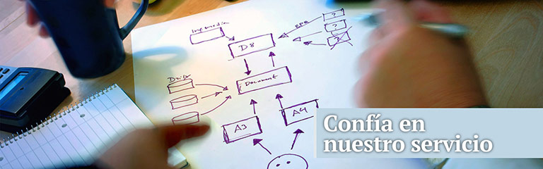 The International Business Hub, confía en nuestros servicios